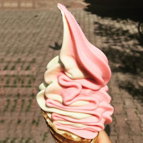 WEI animations étudiants